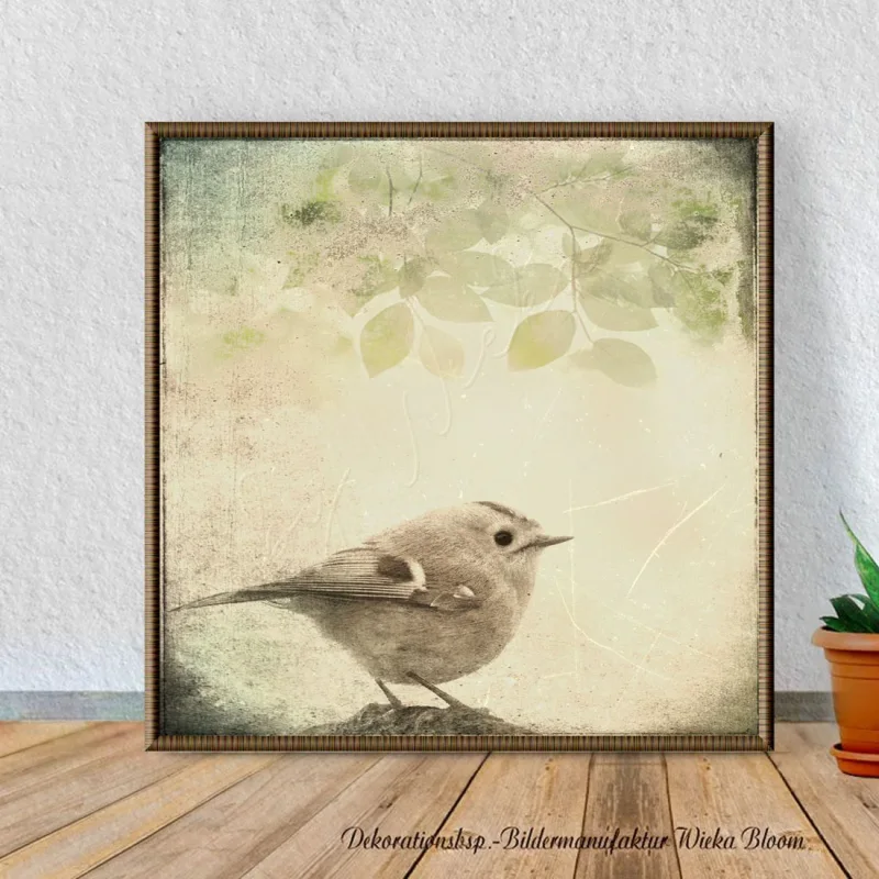 Wintergoldhähnchen Leinwandbild im Shabby Chic Landhausstil als Kunstdruck Poster