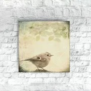 Wintergoldhähnchen Leinwandbild im Shabby Chic Landhausstil auf Leinwand