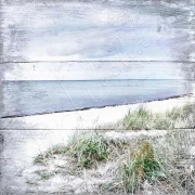 Küstenansicht Ostsee Darß - Maritimes Wandbild im Shabby Chic, Landhausstil kaufen