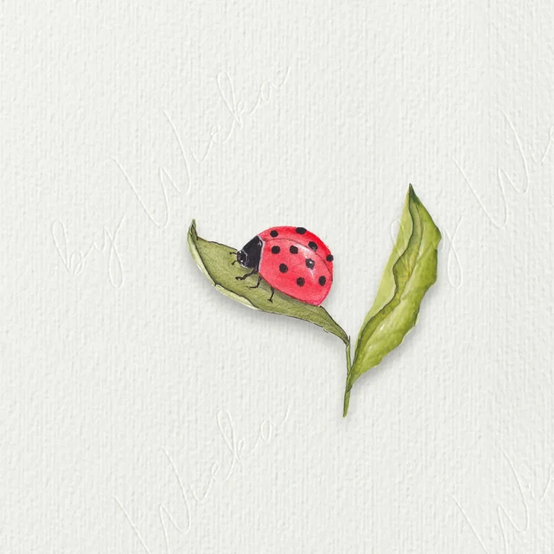 Marienkäfer, Miniatur, Kunstdruck nach handgemaltem Aquarell