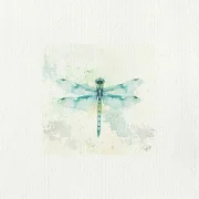 Libelle, Kunstdruck, Miniatur Aquarell minimalistisch