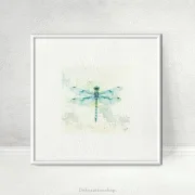 Libelle, Kunstdruck, Miniatur Aquarell minimalistisch