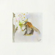 Hummel Miniatur, Kunstdruck nach handgemaltem Aquarell