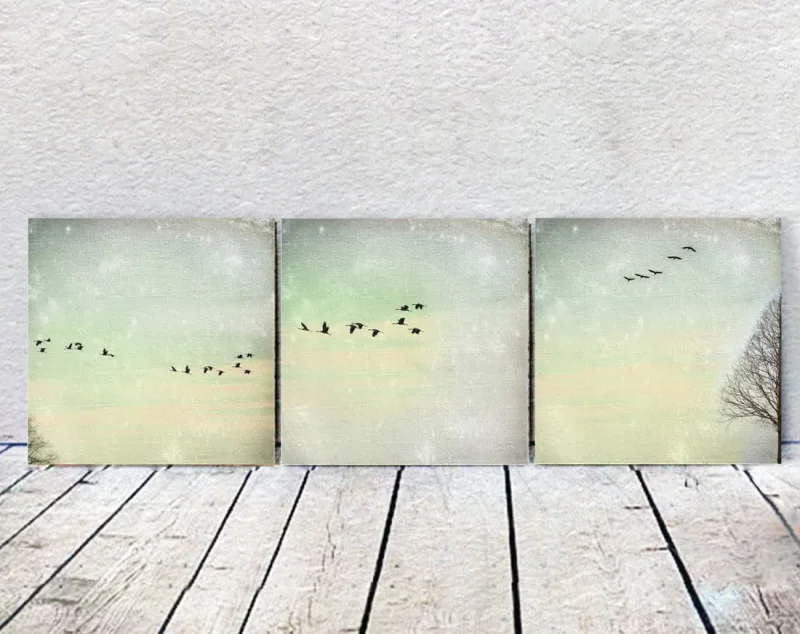 Kraniche, Set Kollektion Wandbilder im Landhausstil, Shabby Chic als Leinwanddruck kaufen