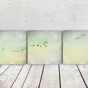 Kraniche, Set Kollektion Wandbilder im Landhausstil, Shabby Chic als Leinwanddruck kaufen