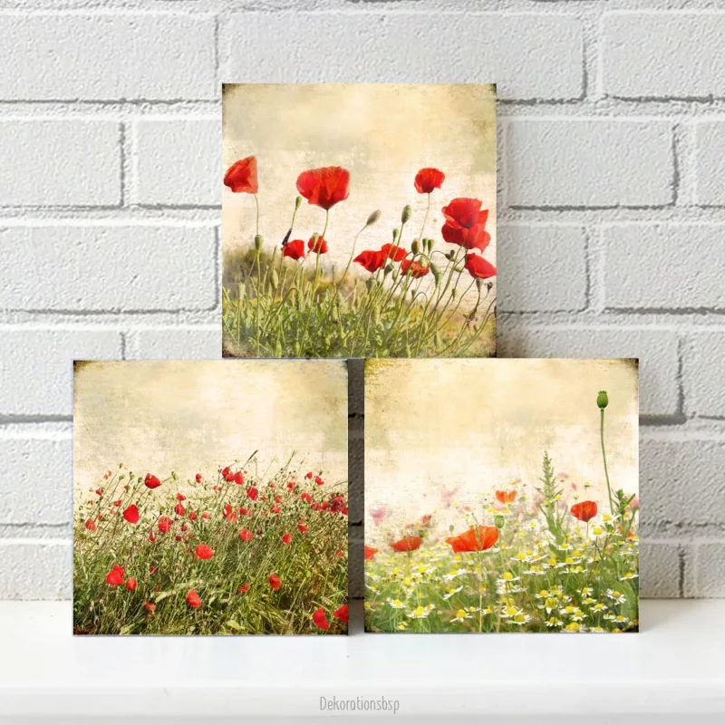 Mohnblumen-Wiese, Kollektion Wandbilder, 3er Set im Shabby Landhausstil