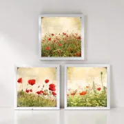 Mohnblumen-Wiese, Kollektion Wandbilder, 3er Set im Shabby Landhausstil