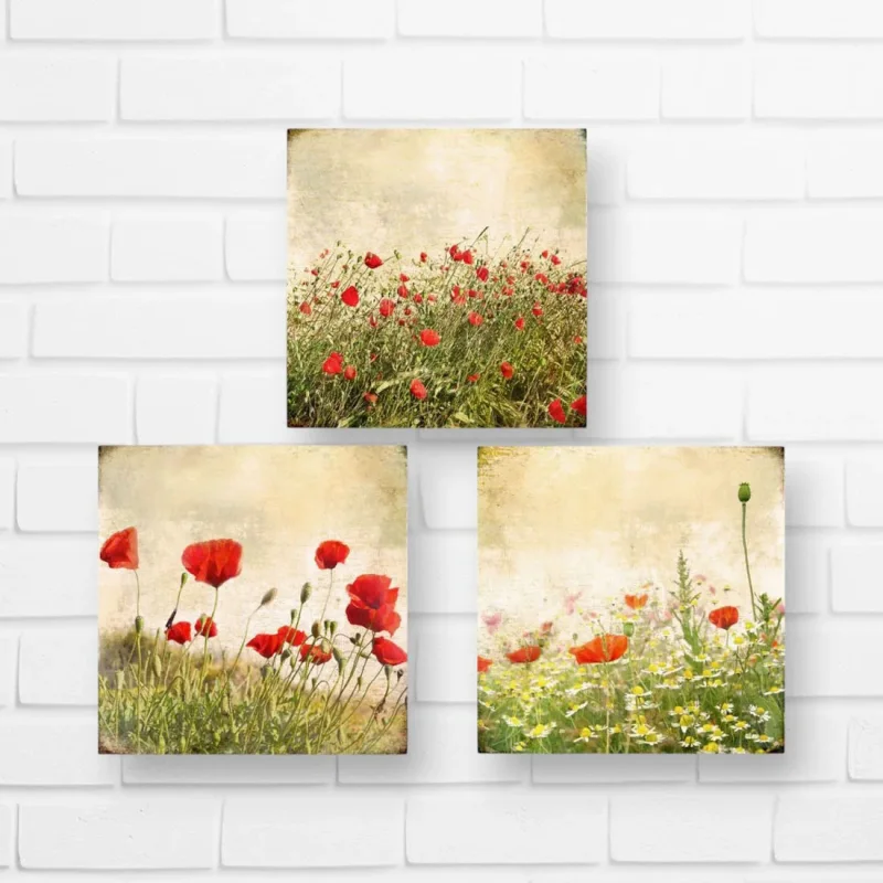 Mohnblumen-Wiese, Kollektion Wandbilder, 3er Set im Shabby Landhausstil
