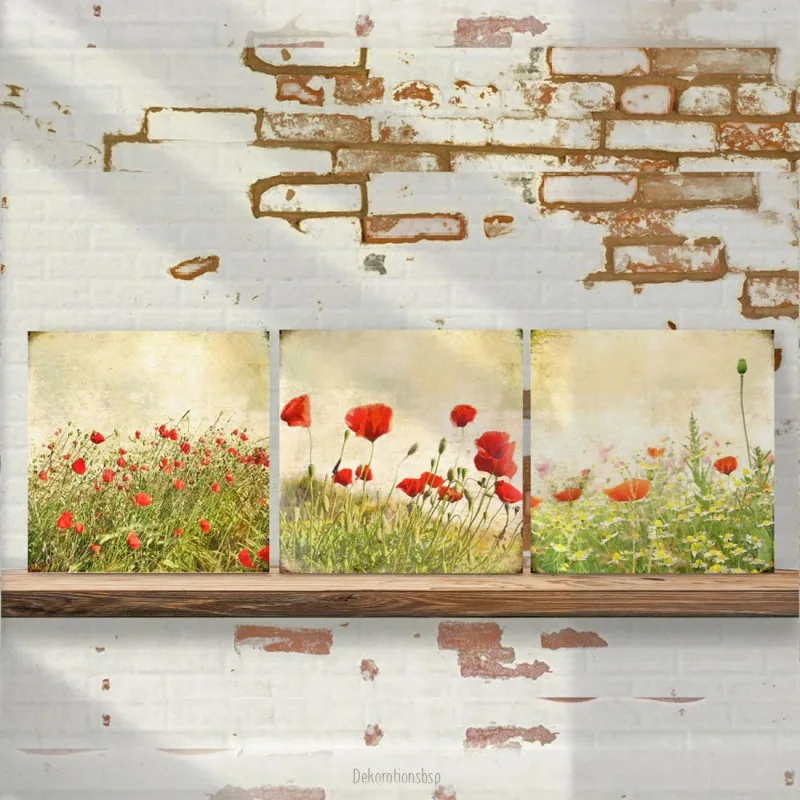 Mohnblumen-Wiese, Kollektion Wandbilder, 3er Set im Shabby Landhausstil