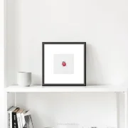 Marienkäfer, Miniatur, Kunstdruck nach handgemaltem Aquarell mit schwarzem Rahmen