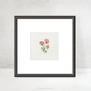 Mohnblumen in Rot, Wandbild, Miniatur Aquarell Kunstdruck auf Büttenpapier