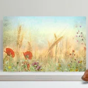 Am Feldrand, Blumenwiese, Wandbild im Shabby-Chic, Landhausstil