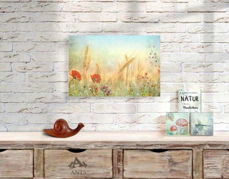 Am Feldrand, Blumenwiese, Wandbild im Shabby-Chic, Landhausstil