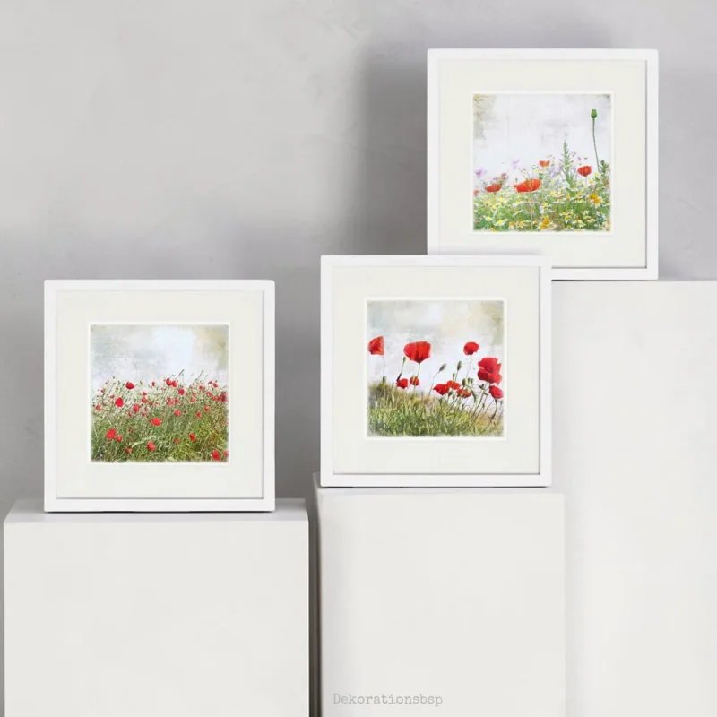 Mohnblumen, Set im Shabby Landhausstil als Kunstdruck Poster