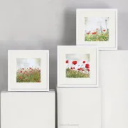 Mohnblumen, Set im Shabby Landhausstil als Kunstdruck Poster