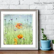 Kunstdruck Mohnblumen & Kornblumen, Wandbild im Shabby Landhausstil 