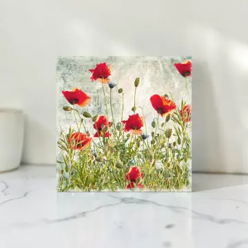 Mohnblumen Wiese, Wandbild im Shabby Landhausstil