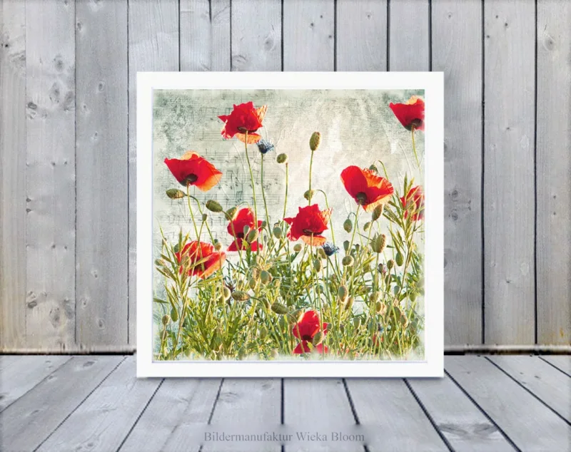 Kunstdruck Mohnblumen, Wandbild im Vintage Style, Shabby Landhausstil