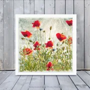 Kunstdruck Mohnblumen, Wandbild im Vintage Style, Shabby Landhausstil