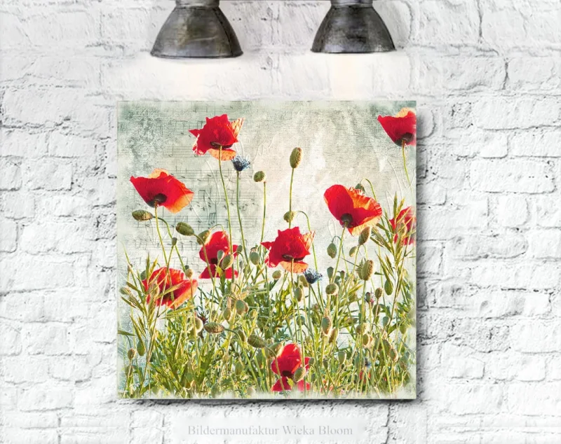 Leinwand Mohnblumen, Wandbild im Vintage Style, Shabby Landhausstil