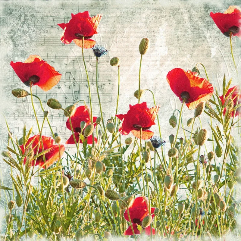 Mohnblumen, Wandbild im Vintage Style, Shabby Landhausstil