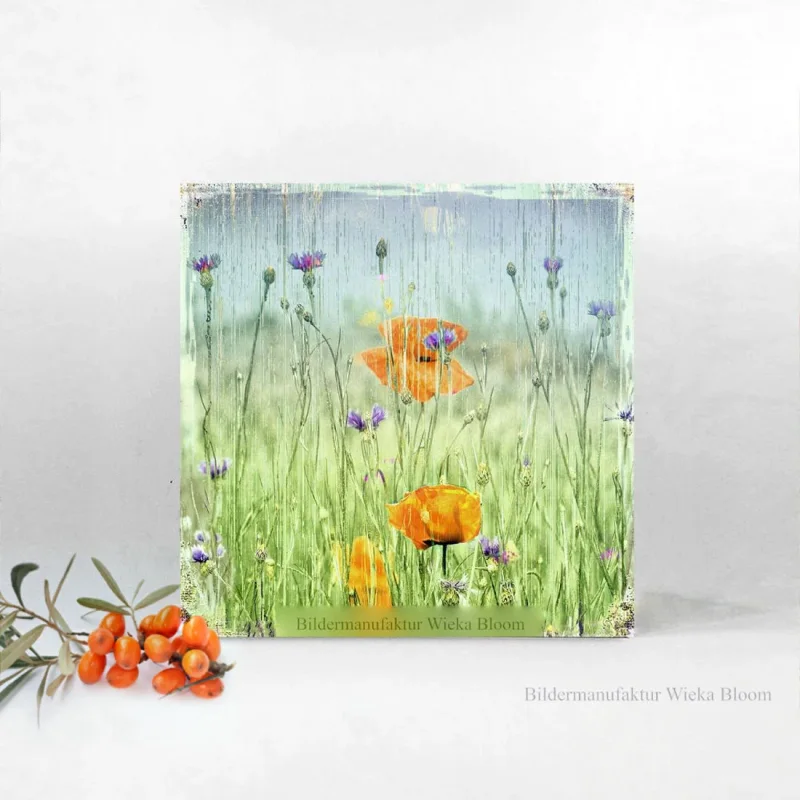 Mohnblumen, Wandbild im Vintage Style, Shabby Chic, Landhausstil