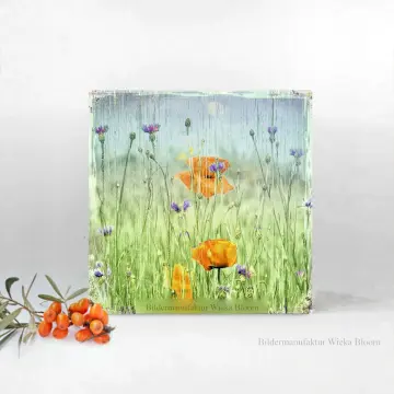 Mohnblumen Kornblumen, Wandbild im Shabby Landhausstil