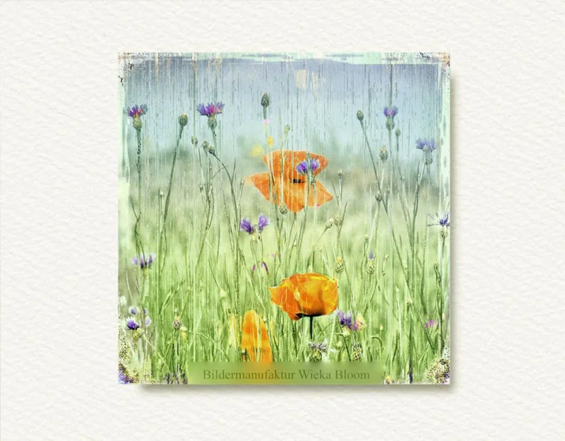 Leinwand Mohnblumen & Kornblumen, Wandbild im Shabby Landhausstil 