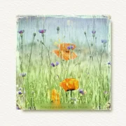 Leinwand Mohnblumen & Kornblumen, Wandbild im Shabby Landhausstil 