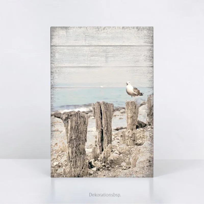Möwe am Meer, maritimes Wandbild Darßer Sommer im Shabby Chic, Landhausstil , Vintage Style Kunstdruck