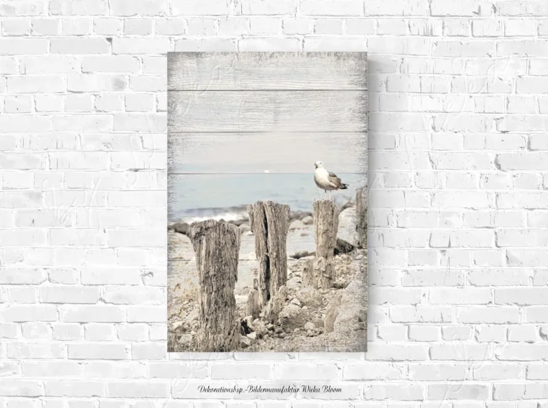 Möwe am Meer, maritimes Wandbild Darßer Sommer im Shabby Chic Landhausstil als Leinwanddruck