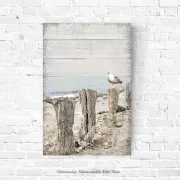 Möwe am Meer, maritimes Wandbild Darßer Sommer im Shabby Chic Landhausstil als Leinwanddruck