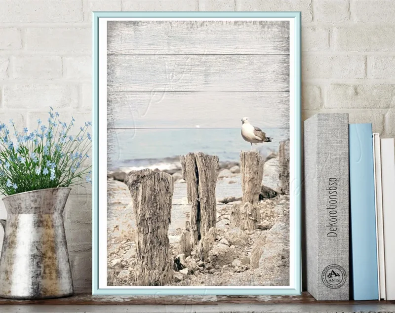 Möwe am Meer, maritimes Wandbild Darßer Sommer im Shabby Chic Landhausstil als Kunstdruck
