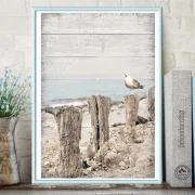 Möwe am Meer, maritimes Wandbild Darßer Sommer im Shabby Chic Landhausstil als Kunstdruck