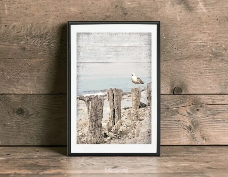 Möwe am Meer, maritimes Wandbild Darßer Sommer im Shabby Chic Landhausstil als Kunstdruck