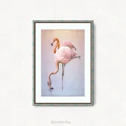 Passepartouts in verschiedenen Größen