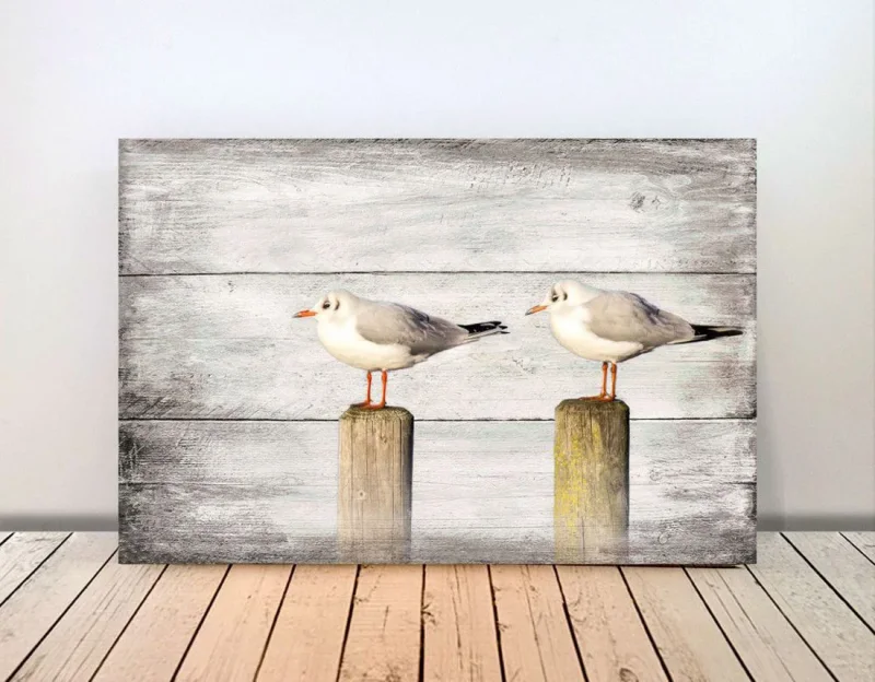 Möwen, Wandbild Darßer Sommer im Shabby Chic, Landhausstil , Vintage Style als Holzdruck