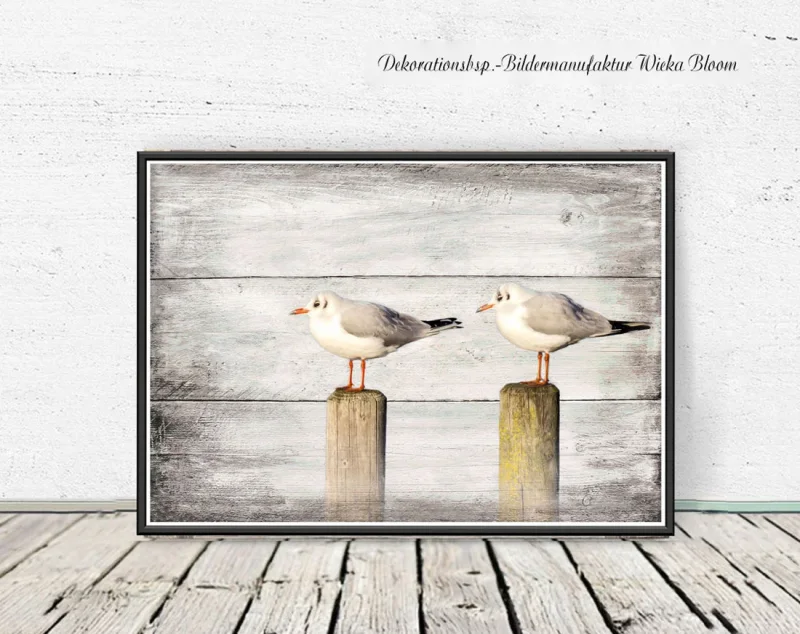 Möwen, Wandbild Darßer Sommer im Shabby Chic, Landhausstil , Vintage Style als Kunstdruck