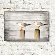 Möwen, Wandbild Darßer Sommer im Shabby Chic, Landhausstil , Vintage Style als Leinwandbild