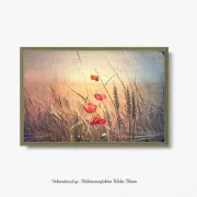 Mohnblumen, Wandbild im Shabby-Chic, Landhausstil