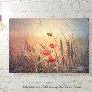 Mohnblumen, Wandbild im Shabby-Chic, Landhausstil