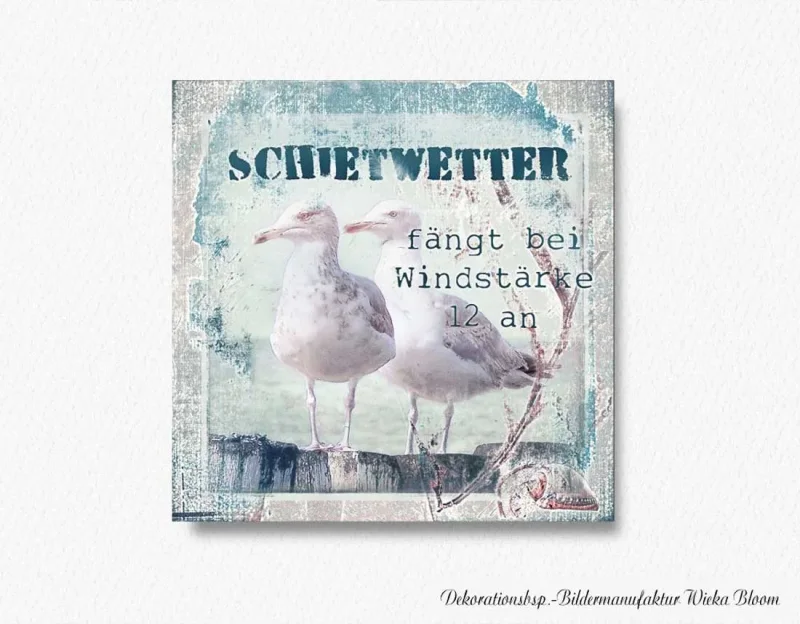 Leinwanddruck, Möwen, Maritimes Wandbild mit lustigem Spruch im Shabby Chic, Landhausstil