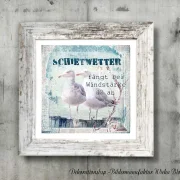 Kunstdruck, Möwen, Maritimes Wandbild mit lustigem Spruch im Shabby Chic, Landhausstil