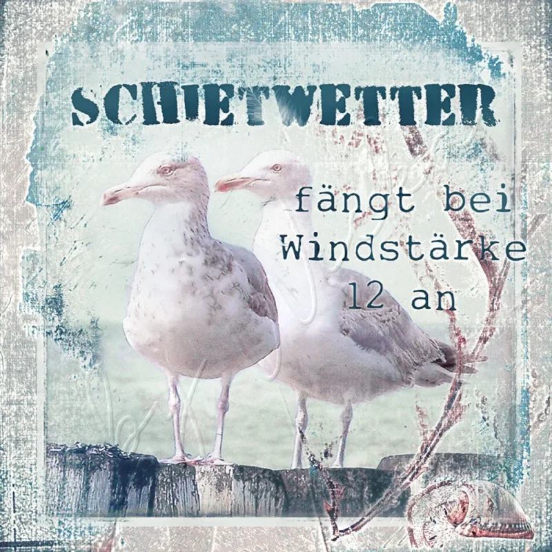 Möwen, Maritimes Wandbild mit lustigem Spruch im Shabby Chic, Landhausstil