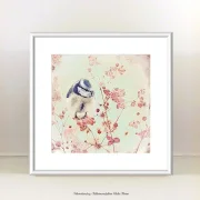 Wandbild Blaumeise, Vogel im Shabby Chic Landhausstil