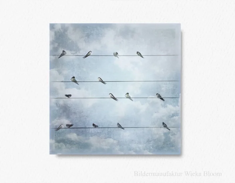 Wandbild Schwalben, Vögel im Shabby Chic Landhausstil