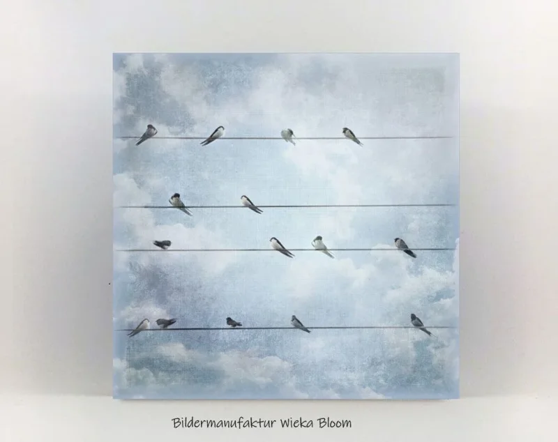 Wandbild Schwalben, Vögel im Shabby Chic Landhausstil