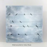 Wandbild Schwalben, Vögel im Shabby Chic Landhausstil