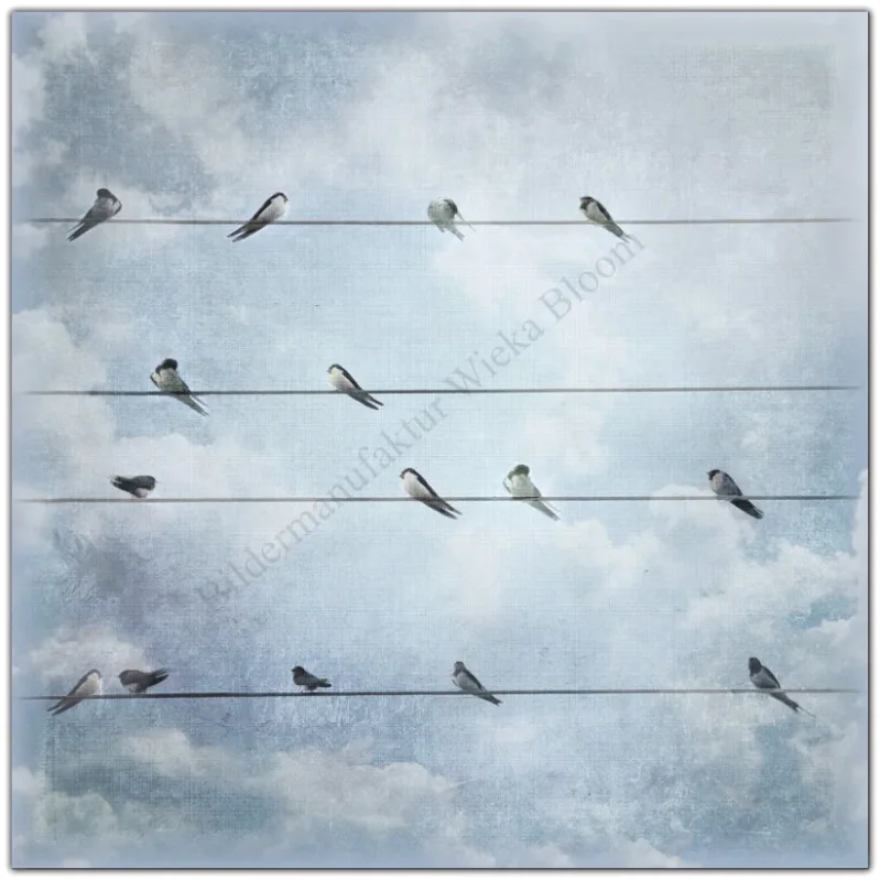 Wandbild Schwalben, Vögel im Shabby Chic Landhausstil