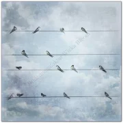 Wandbild Schwalben, Vögel im Shabby Chic Landhausstil